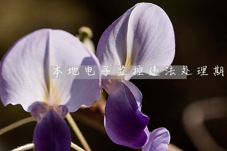 本地电子监控违法处理期限
