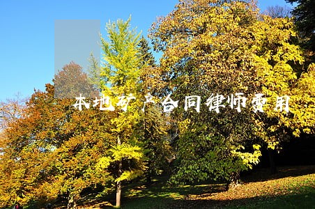 本地矿产合同律师费用 本地矿产合同律师费用