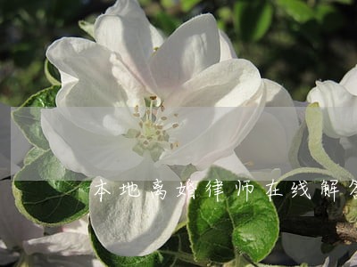 本地离婚律师在线解答