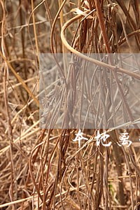 本地离婚律师服务价格