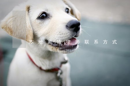 本地离婚律师联系方式 本地离婚律师联系方式