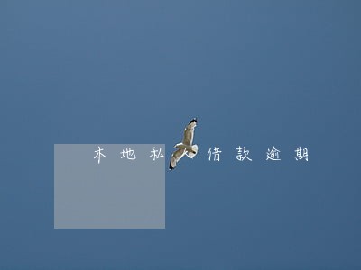 本地私人借款逾期 本地私人借款逾期