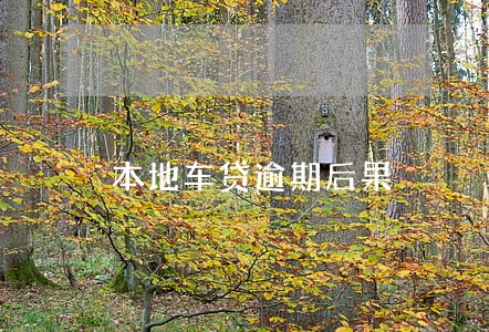 本地车贷逾期后果 本地车贷逾期后果