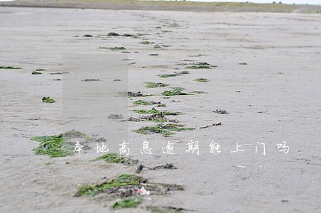 本地高息逾期能上门吗 本地高息逾期能上门吗