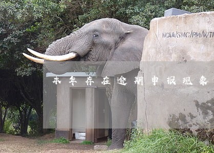 本年存在逾期申报现象