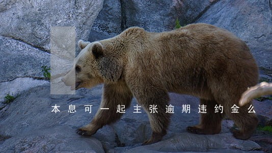 本息可一起主张逾期违约金么 本息可一起主张逾期违约金么