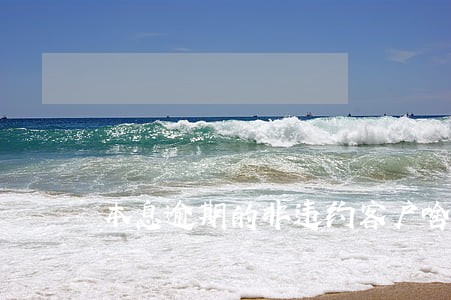 本息逾期的非违约客户啥意思 本息逾期的非违约客户啥意思