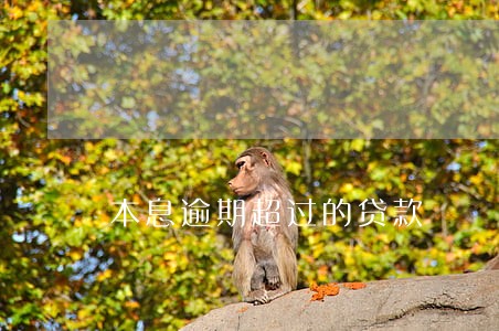 本息逾期超过的贷款 本息逾期超过的贷款