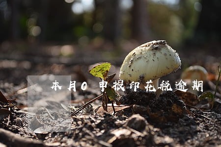 本月0申报印花税逾期 本月0申报印花税逾期