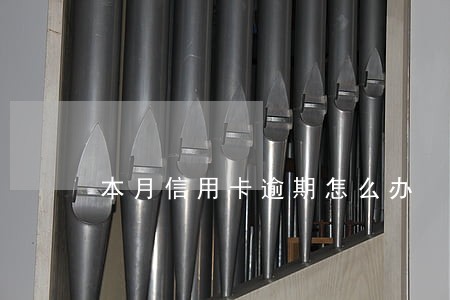 本月信用卡逾期怎么办
