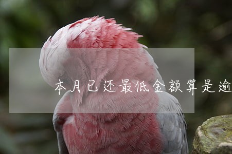 本月已还最低金额算是逾期吗 本月已还最低金额算是逾期吗
