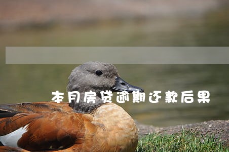本月房贷逾期还款后果 本月房贷逾期还款后果