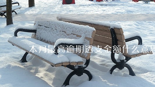 本月最高逾期透支金额什么意思 本月最高逾期透支金额什么意思
