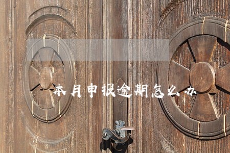 本月申报逾期怎么办 本月申报逾期怎么办
