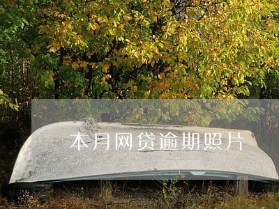 本月网贷逾期照片 本月网贷逾期照片