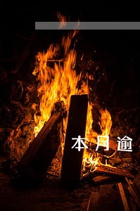本月逾期会不会上征信 本月逾期会不会上征信