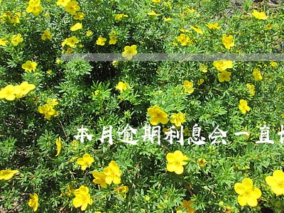 本月逾期利息会一直长吗 本月逾期利息会一直长吗