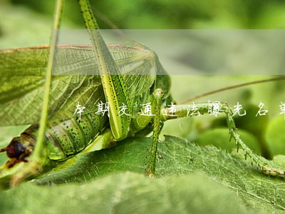 本期交通违法曝光名单来了 本期交通违法曝光名单来了