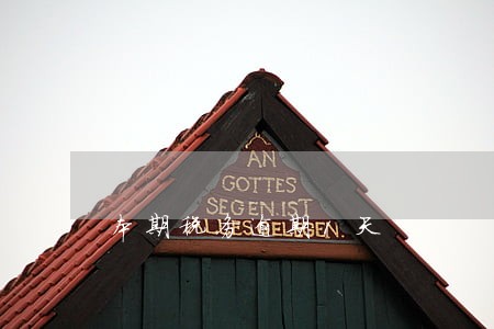 本期税务逾期1天 本期税务逾期1天