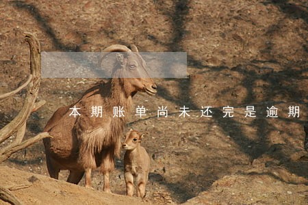 本期账单尚未还完是逾期了吗 本期账单尚未还完是逾期了吗