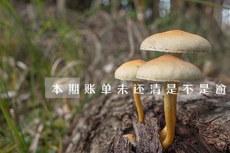 本期账单未还清是不是逾期了 本期账单未还清是不是逾期了