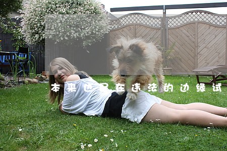本来也是在违法的边缘试探