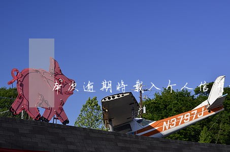 本次逾期将载入个人信用报告 本次逾期将载入个人信用报告