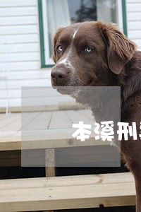 本溪刑事律师咨询电话