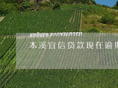 本溪宜信贷款现在逾期5 本溪宜信贷款现在逾期5