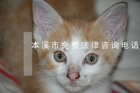 本溪市免费法律咨询电话 本溪市免费法律咨询电话