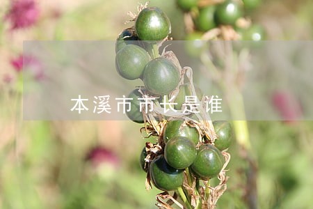 本溪市市长是谁 本溪市市长是谁