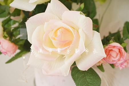 本溪市常务副市长 本溪市常务副市长
