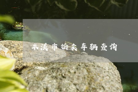 本溪市拍卖车辆查询