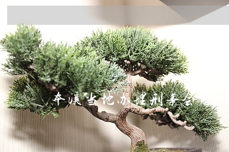 本溪当地办理刑事会见律师网站 本溪当地办理刑事会见律师网站