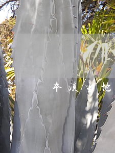 本溪当地擅长刑事业务律师地址 本溪当地擅长刑事业务律师地址