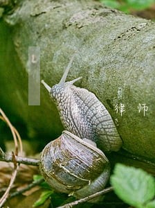 本溪律师在线咨询电话 本溪律师在线咨询电话