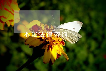 本溪法律咨询 本溪法律咨询