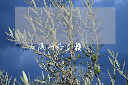 本溪网络直播