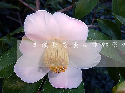 本溪职务侵占律师咨询 本溪职务侵占律师咨询