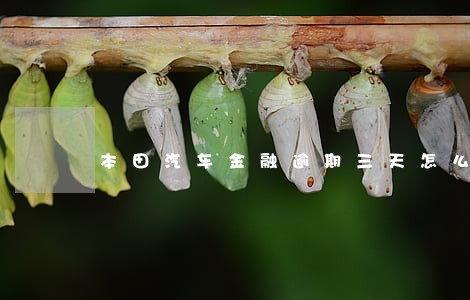 本田汽车金融逾期三天怎么办 本田汽车金融逾期三天怎么办