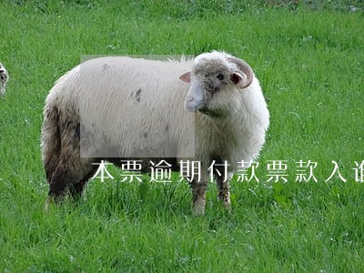 本票逾期付款票款入谁的账 本票逾期付款票款入谁的账