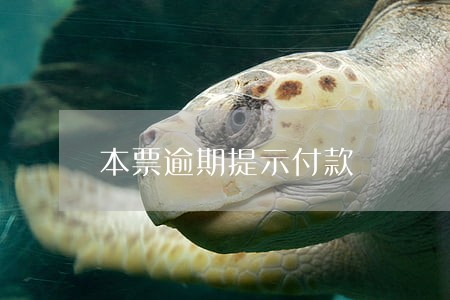 本票逾期提示付款 本票逾期提示付款