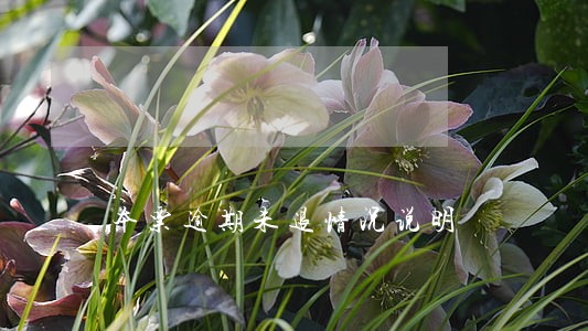 本票逾期未退情况说明 本票逾期未退情况说明
