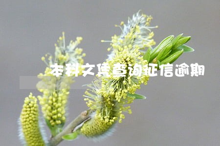 本科文凭查询征信逾期 本科文凭查询征信逾期