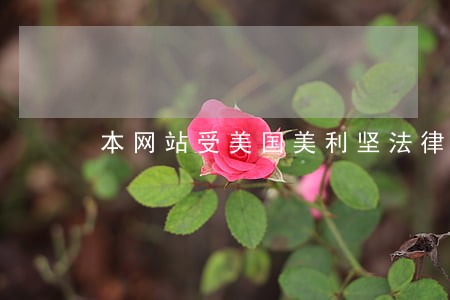 本网站受美国美利坚法律保护 本网站受美国美利坚法律保护