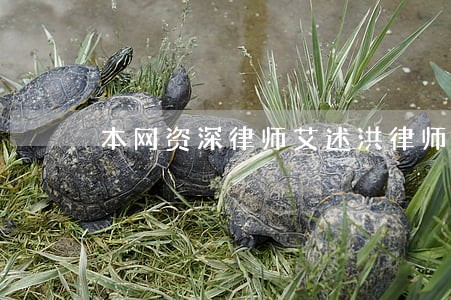 本网资深律师艾述洪律师会见成功 本网资深律师艾述洪律师会见成功