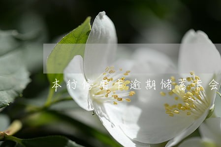 本行信用卡逾期储蓄卡会被划扣吗 本行信用卡逾期储蓄卡会被划扣吗