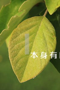 本身有网商贷逾期 本身有网商贷逾期
