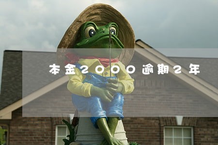 本金2000逾期2年 本金2000逾期2年