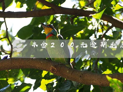 本金200元逾期利息算多少